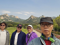 20260506 봉산 편백나무숲..