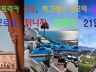 북 아프리카 여행..