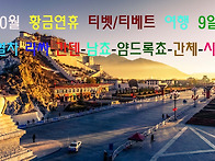 10월 황금연휴 티..
