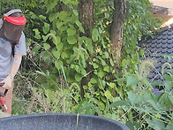 시골은 풀과의 전쟁!