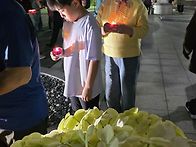 성모 성심, 예수성심의 밤