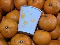 타이벡귤 가정용