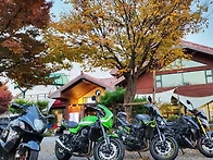 올해 부사로복귀했습니다~..