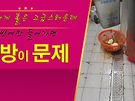 식자재마트 야채 청과전용 음식물처리기