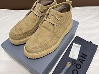 호간/25SS 시그니..