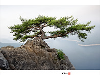 솔향기가 있는 풍경2606..