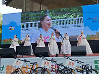 마포 청보리축제
