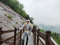 용궐산