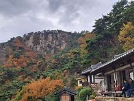 2025/11/08 경주 남산