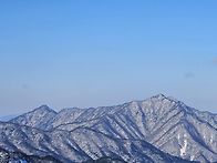 청토 의 막장봉