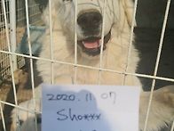 8개월 넘었네요