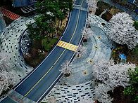 벗꽃 엔딩 (Cherry Bl..