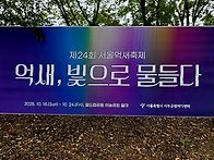 가을은 억세가 꽃을 피웁니..