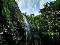 흔적(痕迹)