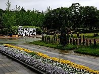 雨中散策 (우중산책)