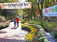 대구 수목원 -국화 전시회