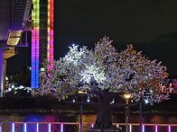 인천계양 아라온 야행 (夜..