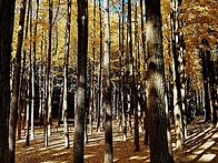 서울숲에서 봉은사까지