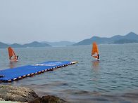 라이벌 풍년
