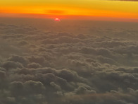 제주도 단풍이 절정입니다..