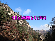 [설악의가을단풍] 강원인제..