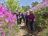 명품 산행기(천성산: 하늘..