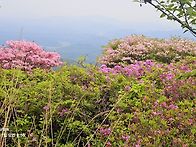 낙동정맥