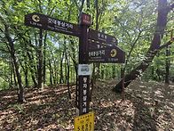 호남7구간(오정자재~일목마..