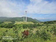 창수령ㆍ명동산ㆍ포도산삼..