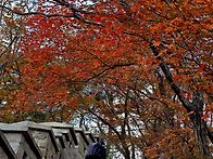 서울 간 김에~(불수사도북..