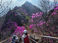 꽃길에 눈 시원한 조망....