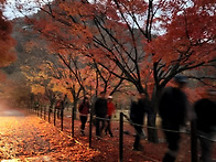 내장산 ~백암산 9봉종주