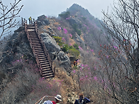 꽃길 걸었던 장복산 ~ 천..