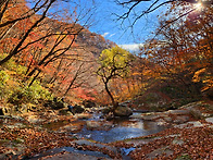 만추(滿秋)의 지리산 연동..