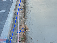 거제시 장평동 다이소앞 ..