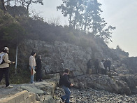 3-26년3월-04참나무처럼식..