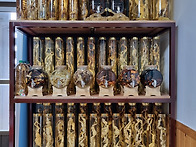 올겨울 흔적~~^^