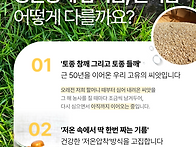 맛있는 국산 참기름, 들기..