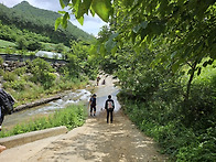 제189차 정선 덕산기계곡