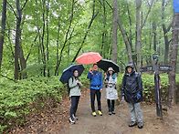 수리산 우중산행..일요일 ..