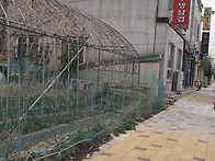 횡성군 둔내면 맛집 소개