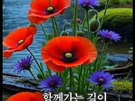 몽환