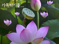 ☆ 寸 覺(촌 각) ☆