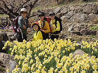 구재봉-분지봉(경남하동)..
