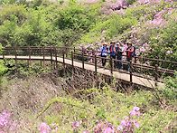 지리산 바래봉