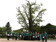 노거수 2022-1차..