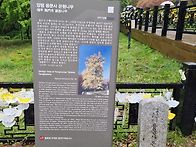 25년도 춘계.두우,우정회합..