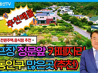 1248 (추천)포항..