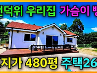 1861 [급매] 땅..