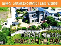 1878 포항에서 피..